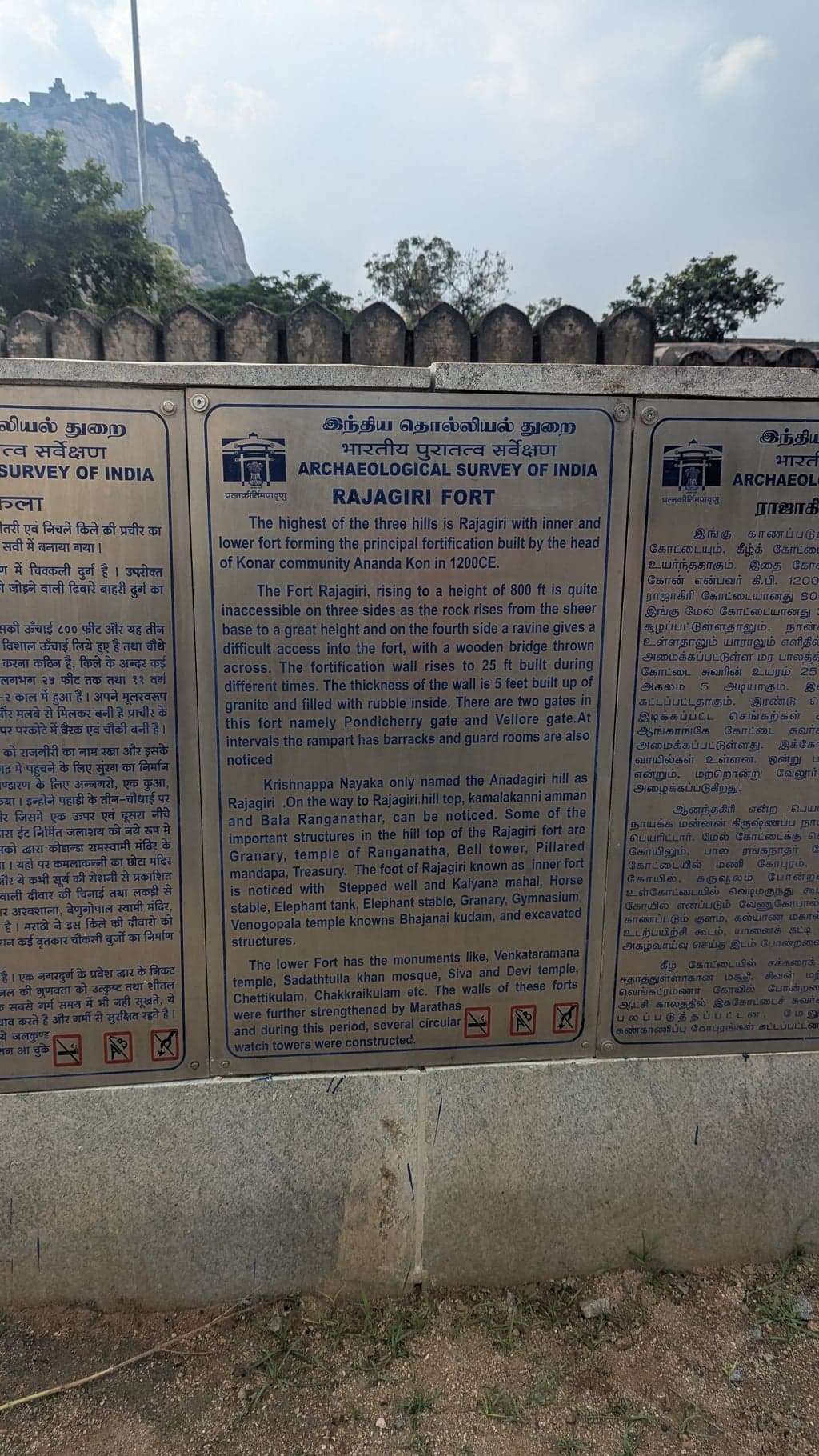 Google Pixel 7 β 7mm β’ Ζ/1.9 β’ 1/2762 β’ ISO 47