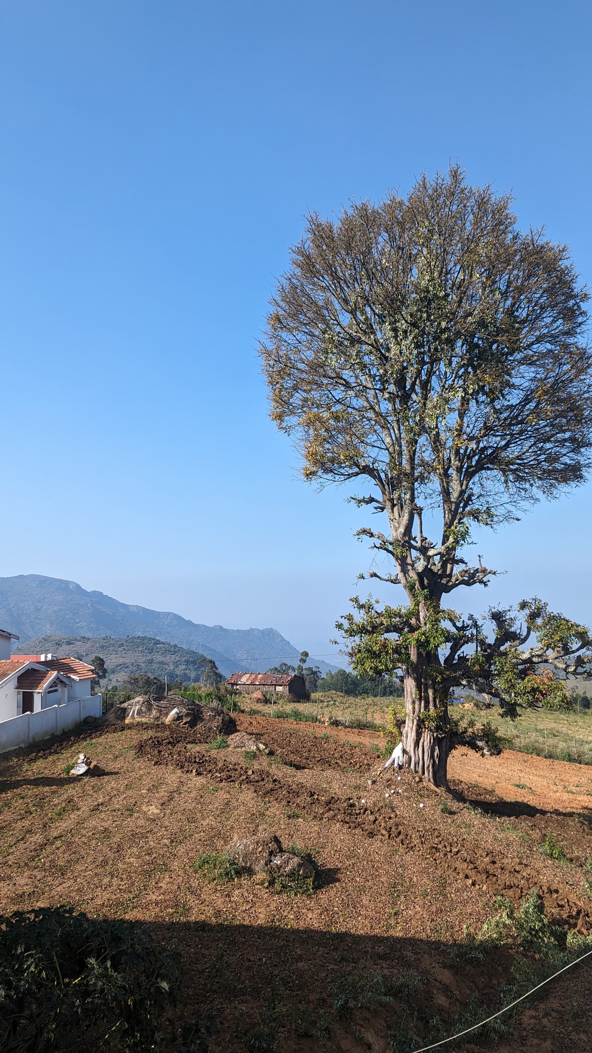 Google Pixel 7 — 7mm • ƒ/1.9 • 1/1244 • ISO 48