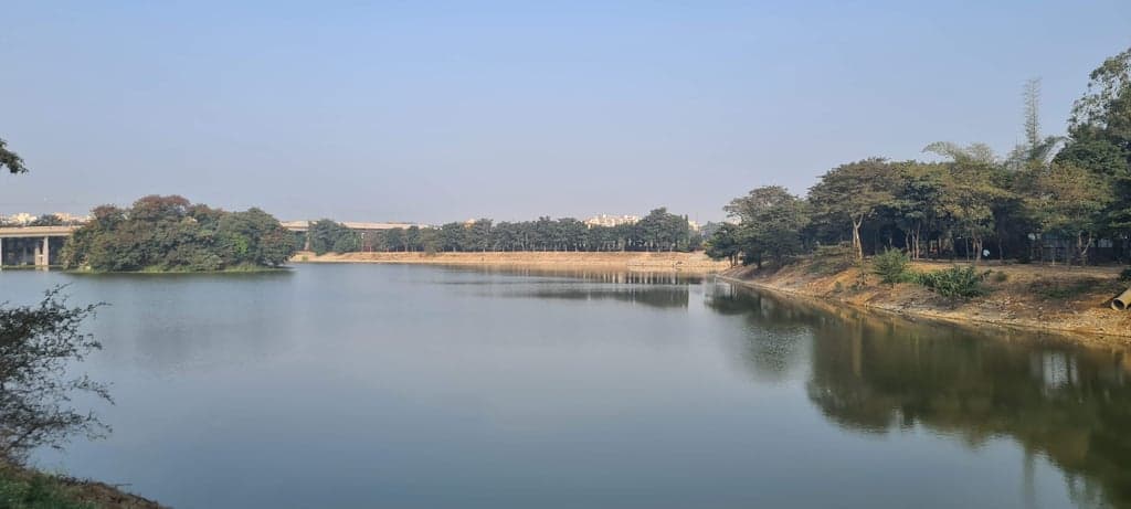 samsung SM-G980F — 5mm • ƒ/1.8 • 1/1448 • ISO 50