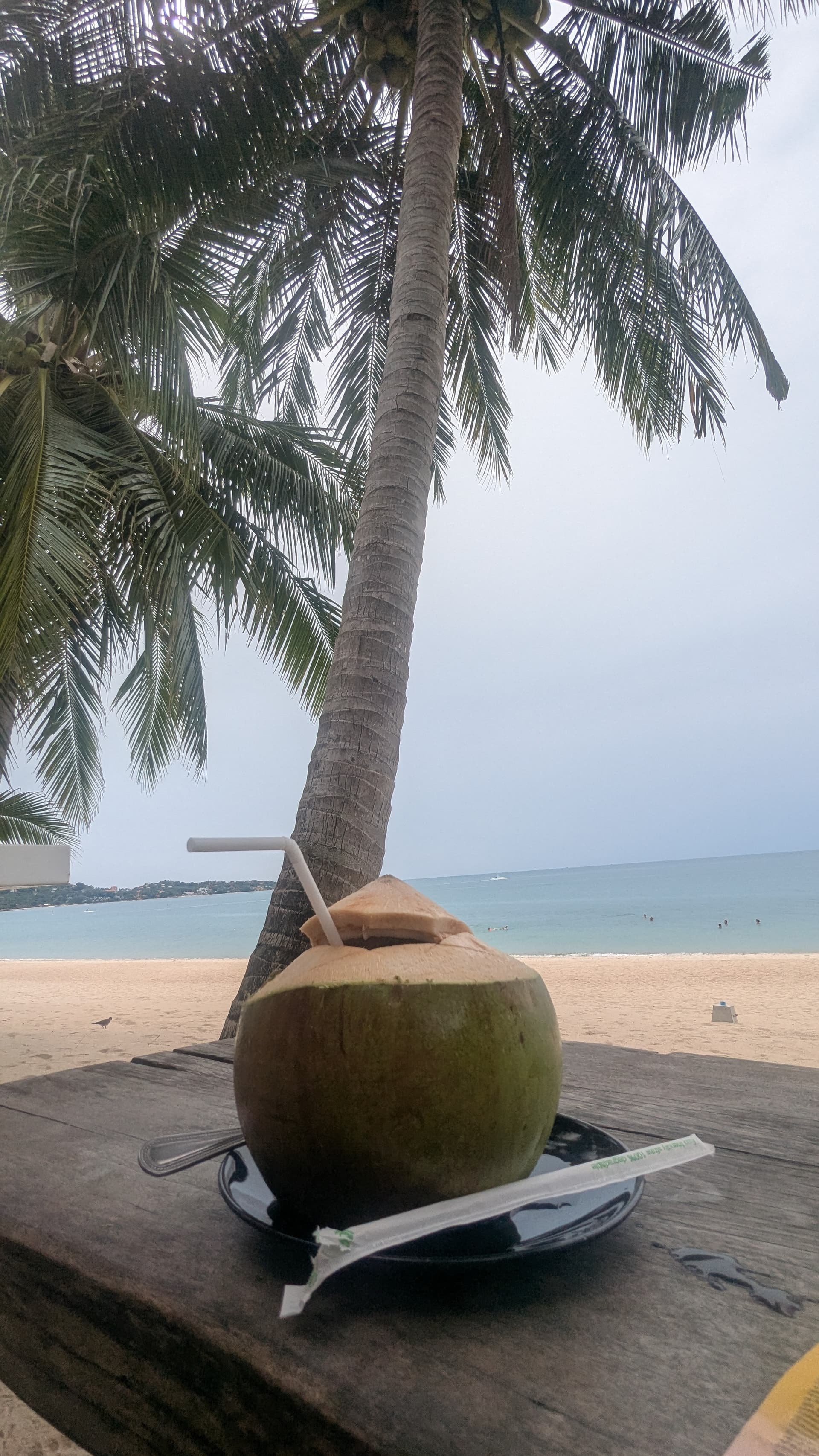 Google Pixel 7 — 2mm • ƒ/2.2 • 1/1239 • ISO 50