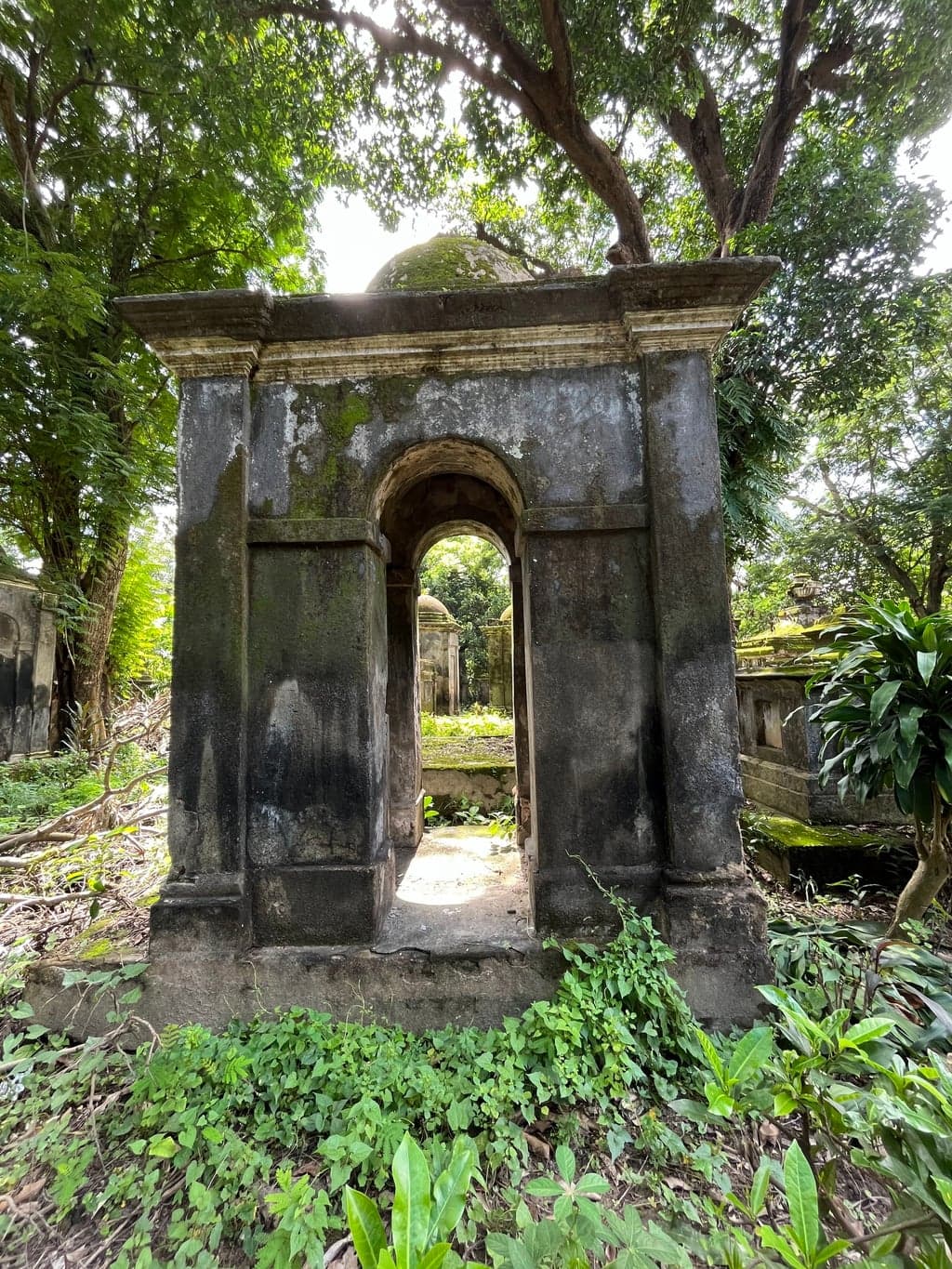 The older sections are barely navigable — the jungle doesn't care about history, it just grows