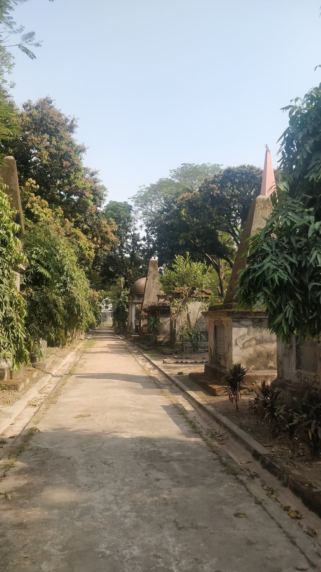 The main avenue — flanked by centuries of stone