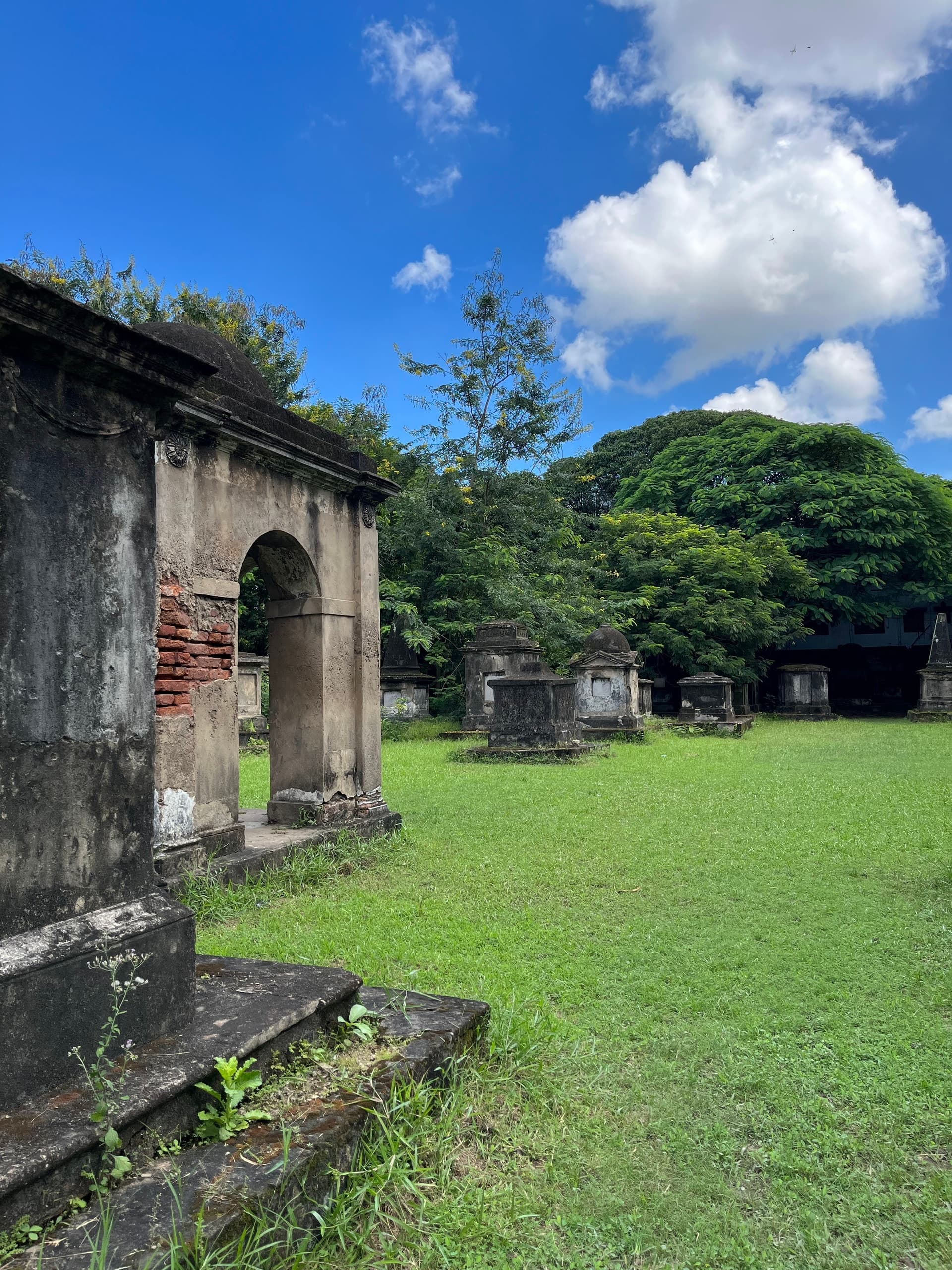 The green quarter — where the cemetery breathes