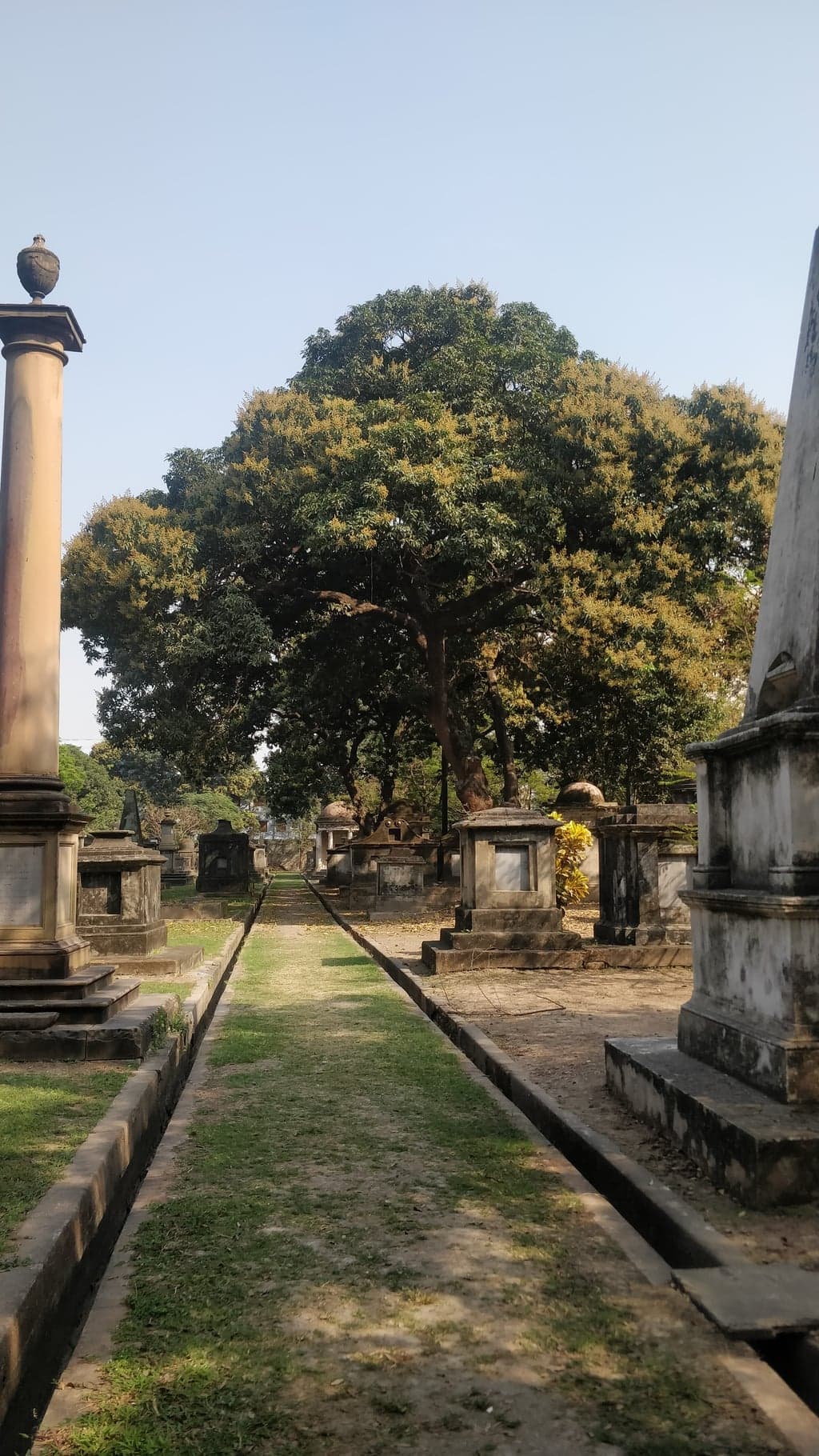 In the open sections, the sky breaks through and the scale of the place becomes clear