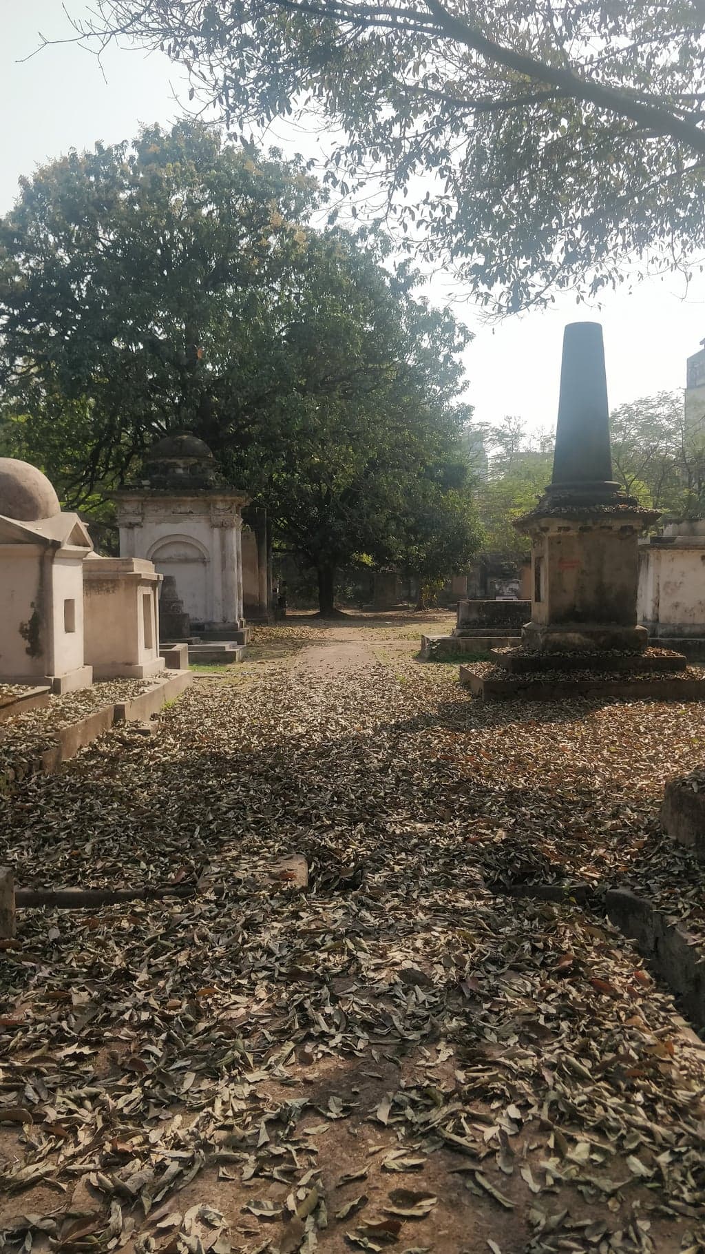 By afternoon, the light comes through at an angle that makes even midday feel like late afternoon