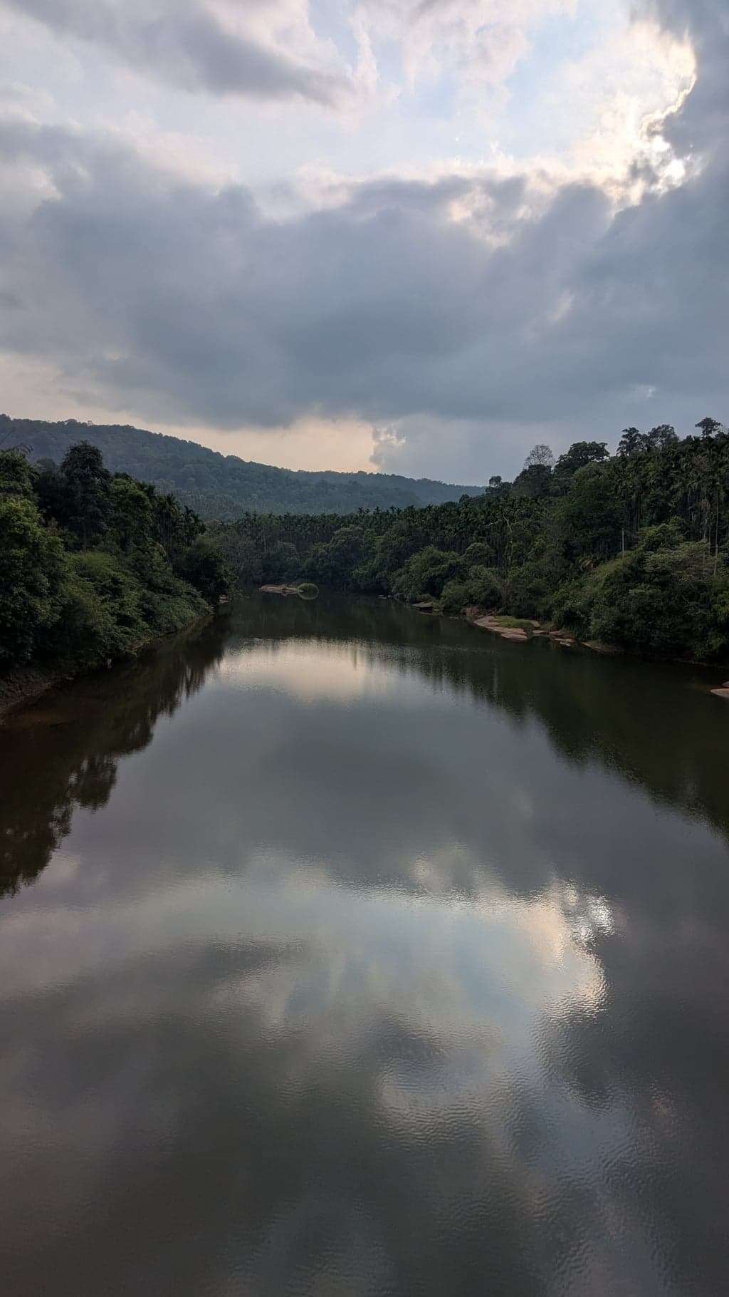 Google Pixel 7 — 2mm • ƒ/2.2 • 1/4651 • ISO 39