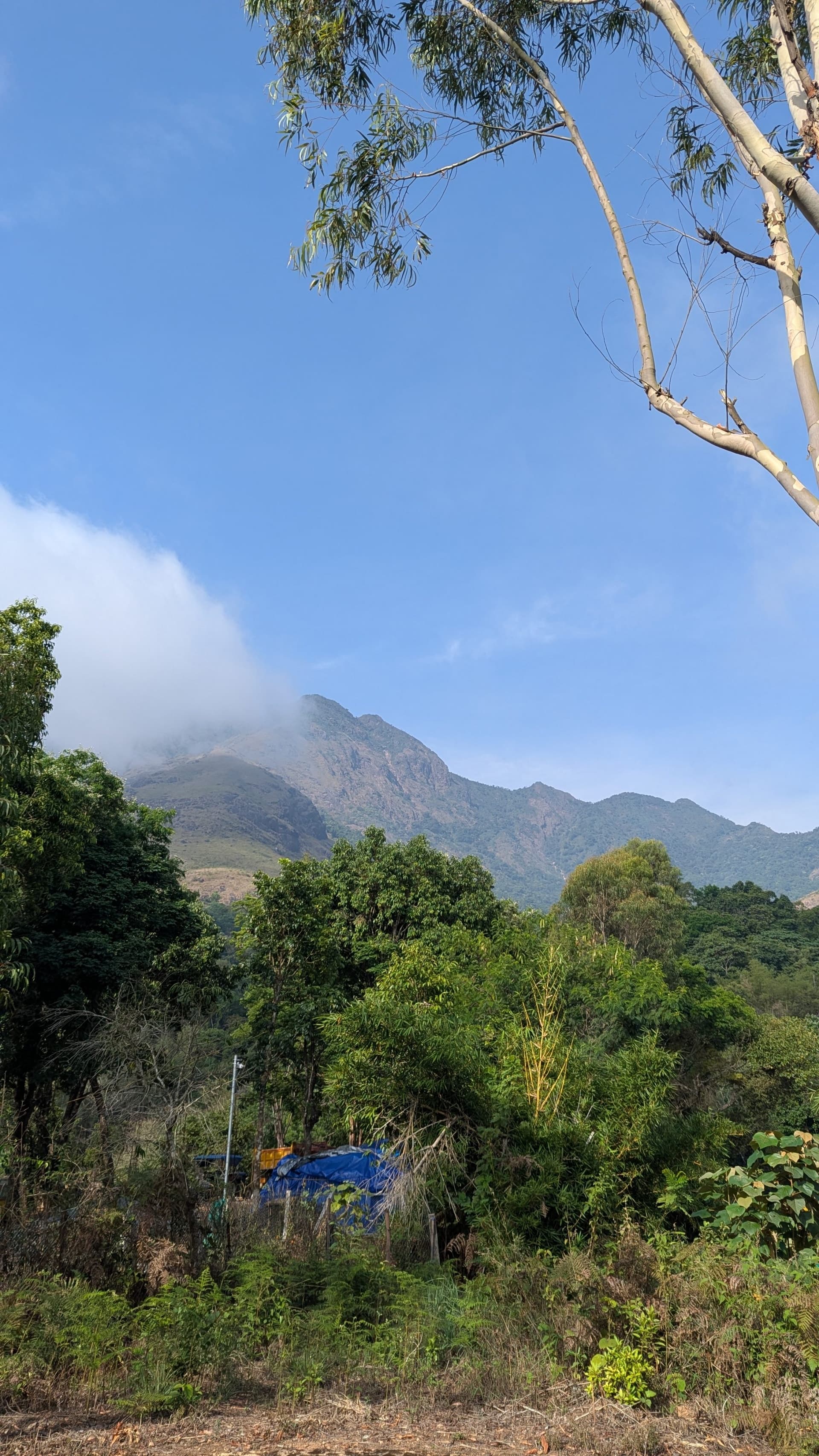 Banasura Hill Resort, Wayanad — rammed earth and fireflies