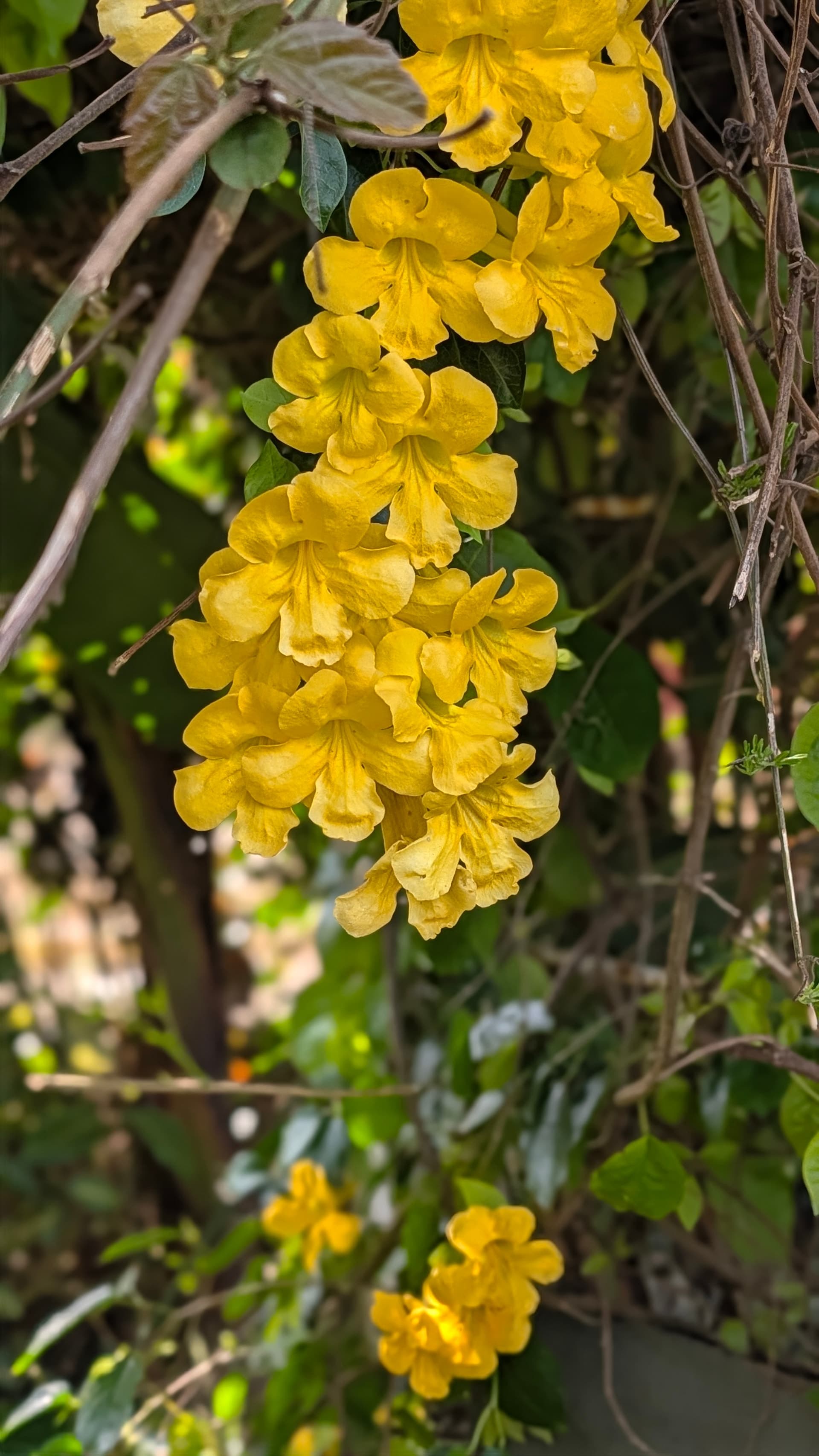 Google Pixel 11 Pro — 7mm • ƒ/1.7 • 1/587 • ISO 23