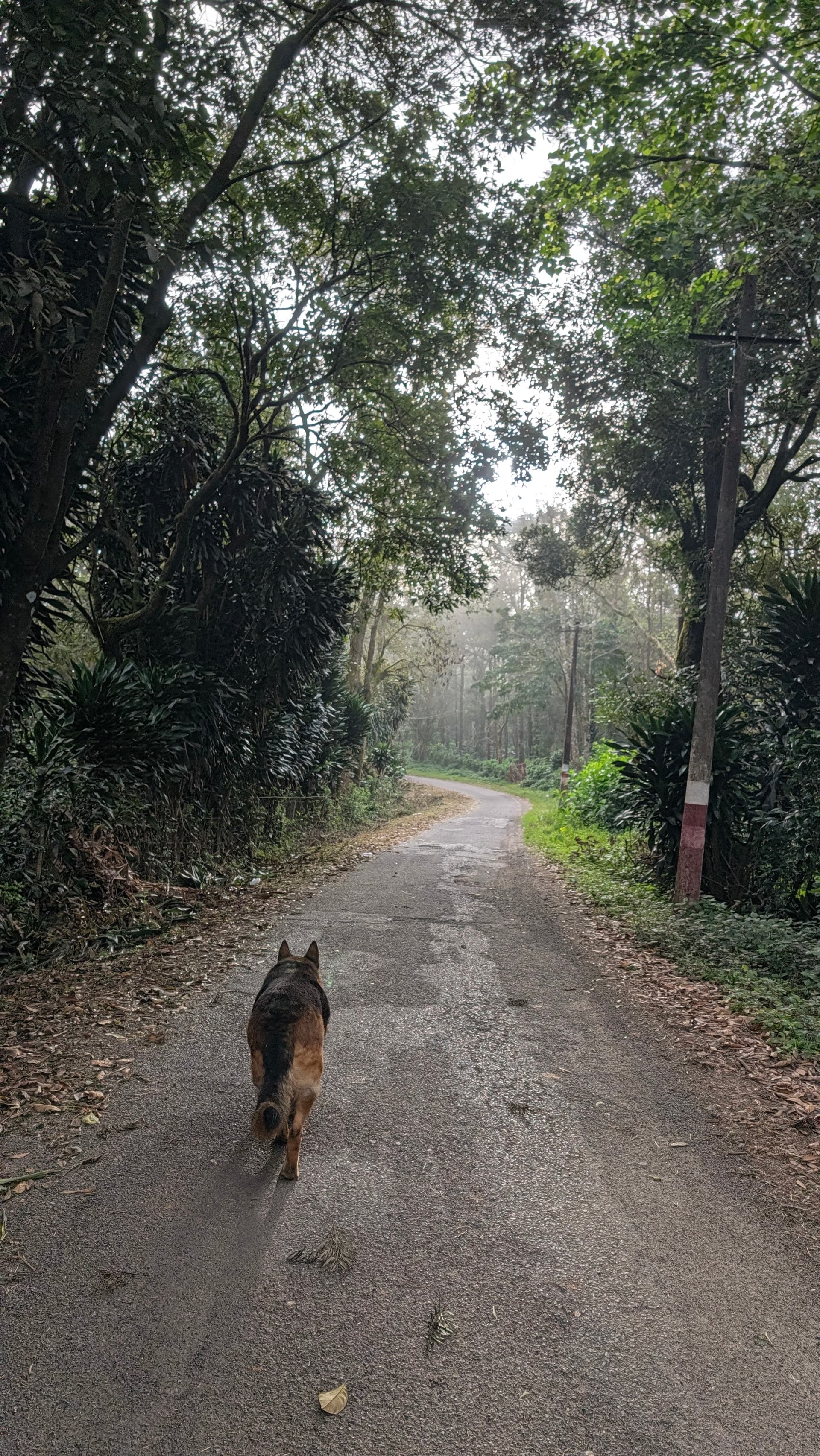 Google Pixel 11 Pro — 7mm • ƒ/1.7 • 1/617 • ISO 19