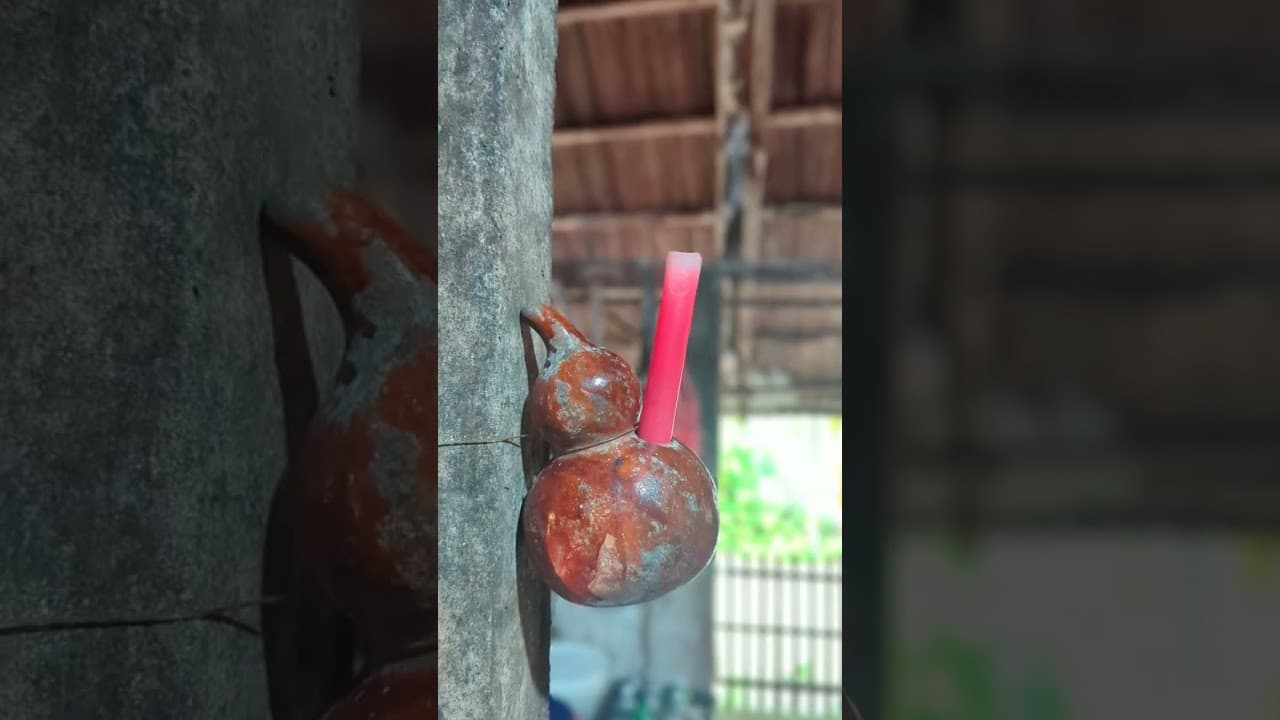 Hoi An - the ancient town